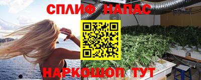 стафф Краснознаменск