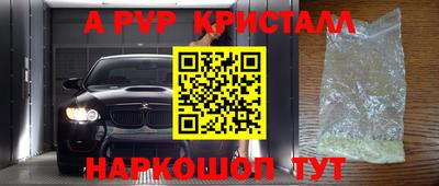 стафф Краснознаменск