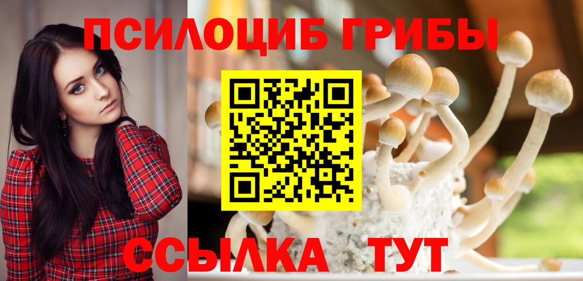 Псилоцибиновые грибы Psilocybine cubensis Ивантеевка