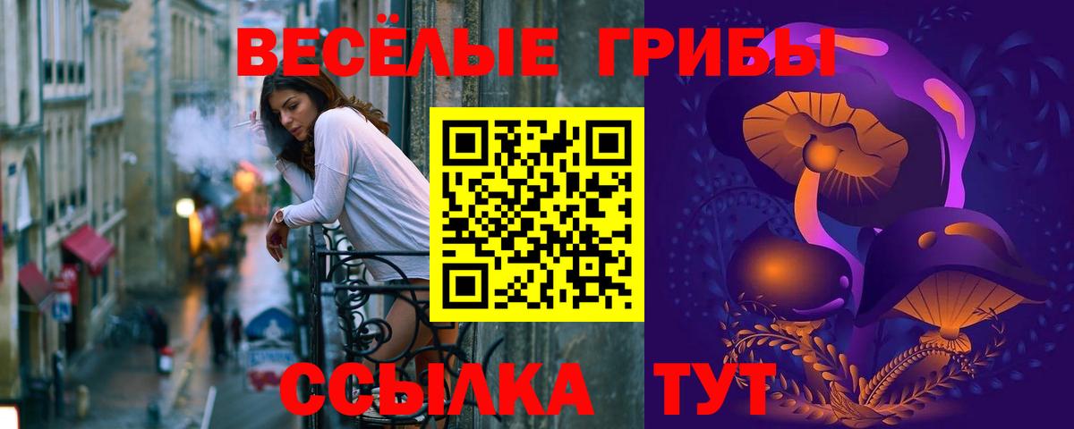 Ивантеевка  Галлюциногенные грибы GOLDEN TEACHER  Вход с VPN 